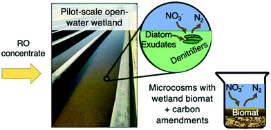 Graphical abstract: Nitrate removal from reverse osmosis concentrate in pilot-scale open-water unit process wetlands