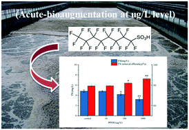 Graphical abstract: Acute bio-augmentation effect of perfluorooctane sulfonic acid (PFOS) on activated sludge in biological denitrification processes and related stress mechanisms