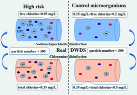 Graphical abstract: Effects of disinfectants and particles on the occurrence of different microorganisms in drinking water distribution systems