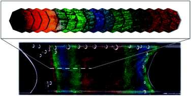 Graphical abstract: Playing the blues, the greens and the reds with cellulose-based structural colours