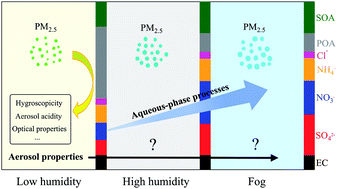 Graphical abstract: Multiphase chemistry experiment in Fogs and Aerosols in the North China Plain (McFAN): integrated analysis and intensive winter campaign 2018