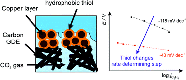 Graphical abstract: Hydrophobic thiol coatings to facilitate a triphasic interface for carbon dioxide reduction to ethylene at gas diffusion electrodes