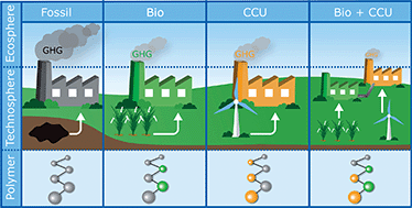 Graphical abstract: Renewable carbon feedstock for polymers: environmental benefits from synergistic use of biomass and CO2