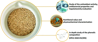 Graphical abstract: Nutritional value, physicochemical characterization and bioactive properties of the Brazilian quinoa BRS Piabiru