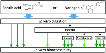 Graphical abstract: Ascorbic acid, sucrose and olive oil lipids mitigate the inhibitory effects of pectin on the bioaccessibility and Caco-2 cellular uptake of ferulic acid and naringenin