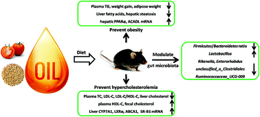 Graphical abstract: Tomato seed oil attenuates hyperlipidemia and modulates gut microbiota in C57BL/6J mice