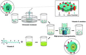 Graphical abstract: Stability and in vitro simulated release characteristics of ultrasonically modified soybean lipophilic protein emulsion