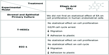 Graphical abstract: Potential use of ellagic acid for endometriosis treatment: its effect on a human endometrial cell cycle, adhesion and migration