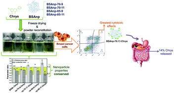 Graphical abstract: Chrysin-loaded bovine serum albumin particles as bioactive nanosupplements