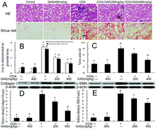 Graphical abstract: Effects of gastrodin against carbon tetrachloride induced kidney inflammation and fibrosis in mice associated with the AMPK/Nrf2/HMGB1 pathway