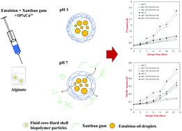 Graphical abstract: Encapsulation of emulsions by a novel delivery system of fluid core–hard shell biopolymer particles to retard lipid oxidation