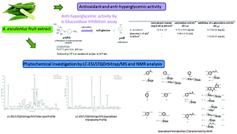 Graphical abstract: Okra fruit: LC-ESI/LTQOrbitrap/MS/MSn based deep insight on polar lipids and specialized metabolites with evaluation of anti-oxidant and anti-hyperglycemic activity