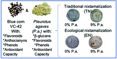 Graphical abstract: Effect of Pleurotus agaves mushroom addition on the physicochemical and sensory properties of blue maize tortillas produced with traditional and ecological nixtamalization