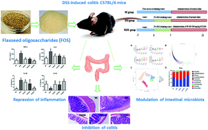 Graphical abstract: Flaxseed oligosaccharides alleviate DSS-induced colitis through modulation of gut microbiota and repair of the intestinal barrier in mice