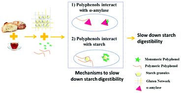 Graphical abstract: Tea polyphenols as a strategy to control starch digestion in bread: the effects of polyphenol type and gluten