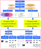 Graphical abstract: Exploring the protective effect of Gynura procumbens against type 2 diabetes mellitus by network pharmacology and validation in C57BL/KsJ db/db mice
