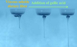 Graphical abstract: Gallic acid reduces the viscosity and water binding capacity of soluble dietary fibers