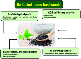 Graphical abstract: ACE inhibitory peptides derived from de-fatted lemon basil seeds: optimization, purification, identification, structure–activity relationship and molecular docking analysis
