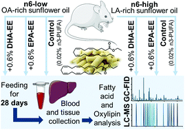 Graphical abstract: Effect of dietary EPA and DHA on murine blood and liver fatty acid profile and liver oxylipin pattern depending on high and low dietary n6-PUFA