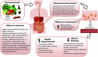 Graphical abstract: Phytochemicals as modifiers of gut microbial communities