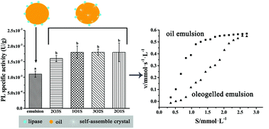 Graphical abstract: In vitro gastrointestinal digestibility of phytosterol oleogels: influence of self-assembled microstructures on emulsification efficiency and lipase activity