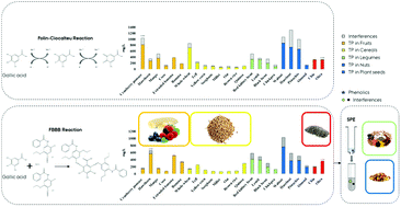 Graphical abstract: Systematic evaluation of the Folin–Ciocalteu and Fast Blue BB reactions during the analysis of total phenolics in legumes, nuts and plant seeds