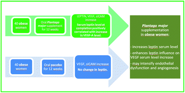 Graphical abstract: The effect of Plantago major supplementation on leptin and VEGF-A serum levels, endothelial dysfunction and angiogenesis in obese women – a randomised trial