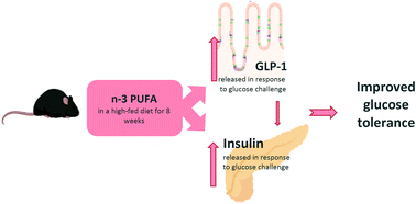 Graphical abstract: Chronic n-3 fatty acid intake enhances insulin response to oral glucose and elevates GLP-1 in high-fat diet-fed obese mice