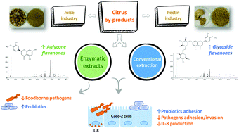 Graphical abstract: Effect of enzymatic treatment of citrus by-products on bacterial growth, adhesion and cytokine production by Caco-2 cells