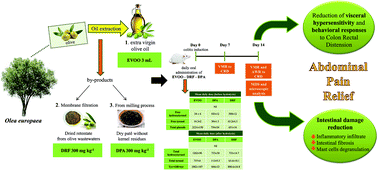 Graphical abstract: Extra virgin olive oil and related by-products (Olea europaea L.) as natural sources of phenolic compounds for abdominal pain relief in gastrointestinal disorders in rats