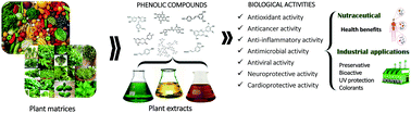 Graphical abstract: Phenolic compounds: current industrial applications, limitations and future challenges