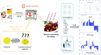 Graphical abstract: Flavor and texture characteristics of microwave-cooked Kung Pao Chicken by different heat conduction effects and further aroma improvement with moderate enzymatic hydrolyzed chicken fat