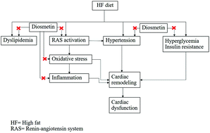 Graphical abstract: Diosmetin attenuates metabolic syndrome and left ventricular alterations via the suppression of angiotensin II/AT1 receptor/gp91phox/p-NF-κB protein expression in high-fat diet fed rats
