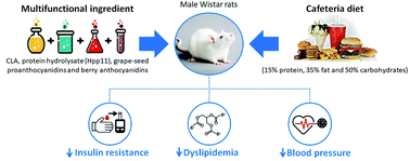 Graphical abstract: A multifunctional ingredient for the management of metabolic syndrome in cafeteria diet-fed rats