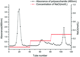 Graphical abstract: Physicochemical properties of polysaccharides from Ligusticum chuanxiong and analysis of their anti-tumor potential through immunoregulation
