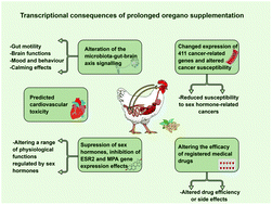 Graphical abstract: Prolonged continual consumption of oregano herb interferes with the action of steroid hormones and several drugs, and effects signaling across the brain–gut axis