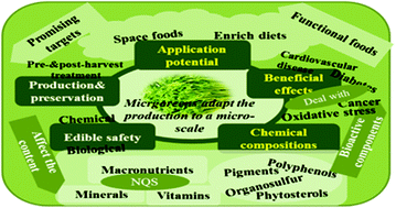 Graphical abstract: The role of emerging micro-scale vegetables in human diet and health benefits—an updated review based on microgreens