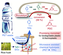 Graphical abstract: A chemo-microbial hybrid process for the production of 2-pyrone-4,6-dicarboxylic acid as a promising bioplastic monomer from PET waste