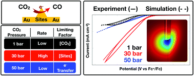 Graphical abstract: Insights into pressure tunable reaction rates for electrochemical reduction of CO2 in organic electrolytes