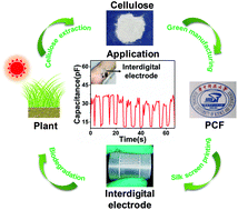 Graphical abstract: Manufacturing pure cellulose films by recycling ionic liquids as plasticizers