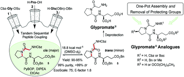 Graphical abstract: A sustainable strategy for the assembly of Glypromate® and its structurally-related analogues by tandem sequential peptide coupling
