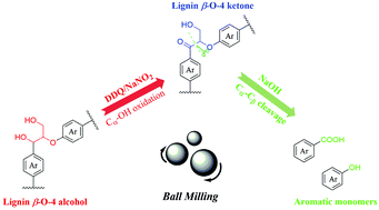 Graphical abstract: Mechanochemical cleavage of lignin models and lignin via oxidation and a subsequent base-catalyzed strategy