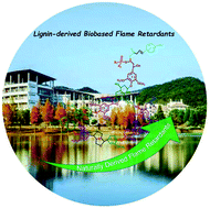 Graphical abstract: Lignin-derived bio-based flame retardants toward high-performance sustainable polymeric materials