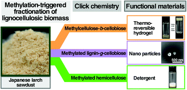 Graphical abstract: Methylation-triggered fractionation of lignocellulosic biomass to afford cellulose-, hemicellulose-, and lignin-based functional polymers via click chemistry