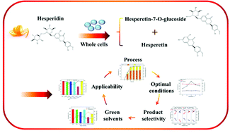 Graphical abstract: Highly efficient bioconversion of flavonoid glycosides from citrus-processing wastes in solvent-buffer systems
