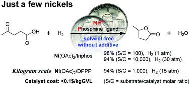Graphical abstract: A practical and concise homogeneous nickel catalyst for efficient solvent-free synthesis of γ-valerolactone
