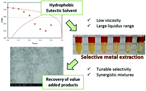 Graphical abstract: Non-ionic hydrophobic eutectics – versatile solvents for tailored metal separation and valorisation