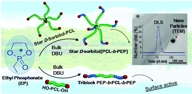 Graphical abstract: Clean synthesis of linear and star amphiphilic poly(ε-caprolactone)-block-poly(ethyl ethylene phosphonate) block copolymers: assessing self-assembly and surface activity