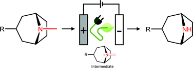 Graphical abstract: Electrochemical N-demethylation of tropane alkaloids