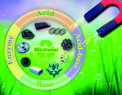 Graphical abstract: Functionalized magnetic nanosized materials for efficient biodiesel synthesis via acid–base/enzyme catalysis